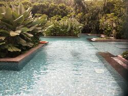 The Skywoods (D23), Condominium #568230361